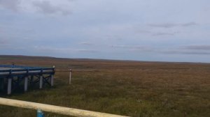 Варандей. Тундра