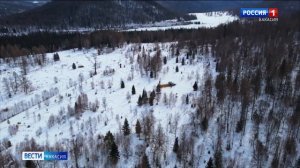 День заповедников и национальных парков отмечают сегодня в России