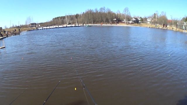 Ловля форели на поплавочную снасть. Сезон открыт! смотреть онлайн