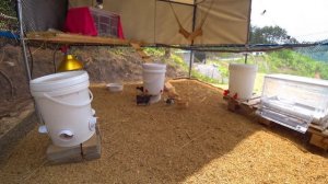 Моя жизнь в Корее, о которой я мечтала ^^ KOREA VLOG