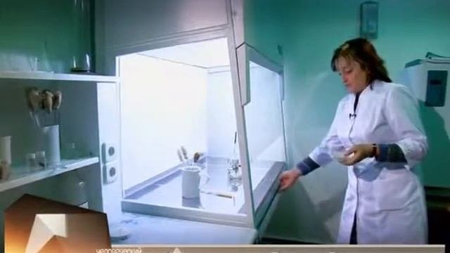 Уникальная древесина прочнее стали