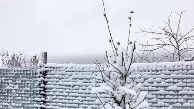 музыка Сергей Чекалин - Падал снег  nowar