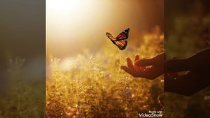 Как эта жизнь хороша!