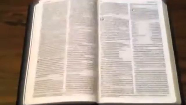 UNJA 2015: Winning entry (Features): Eaten alive (Part 2) смотреть онлайн