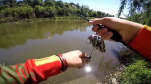 КАК ловить голавля? Ловля ГОЛАВЛЯ на спиннинг!