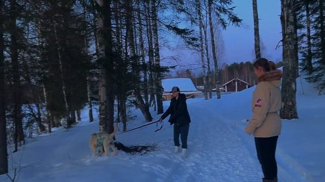 Подготовка к экспедиции North Pole смотреть онлайн