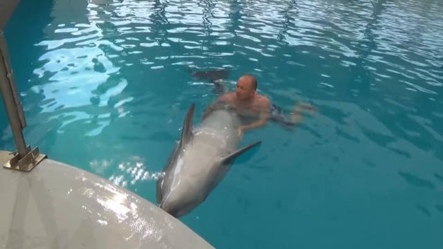 НАША ЖИЗНЬ.ПУТЕШЕСТВИЯ ПО МИРУ. смотреть онлайн