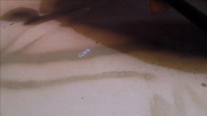 ARP 150 wireless battery airbrush compressor revisited