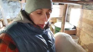 Живу в деревне, живу как хочу. За окном ноль, дела по хозяйству!