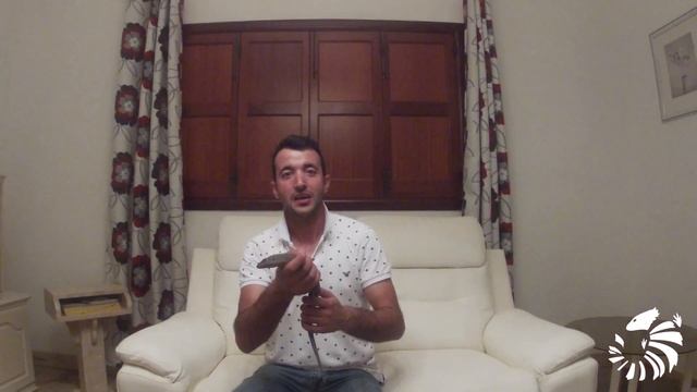 General information about Giant Plated Lizard (Gerrhosaurus Validus) смотреть онлайн