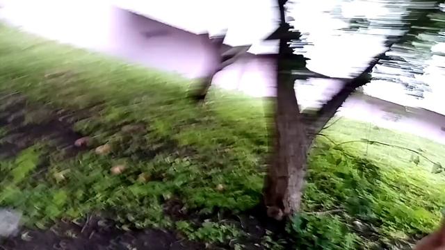 Заброшенный ваз 2105 смотреть онлайн