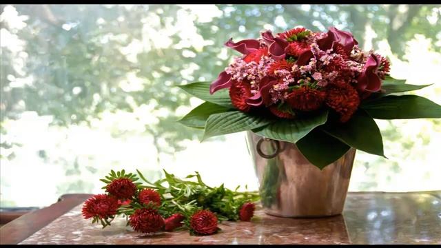 Букеты астр часть 6 смотреть онлайн