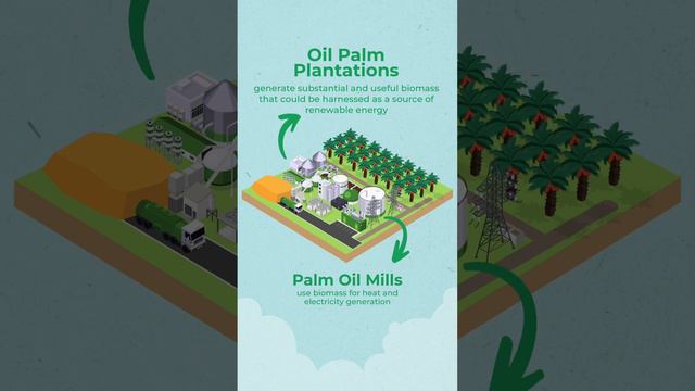 Malaysian Palm Oil- Biomass