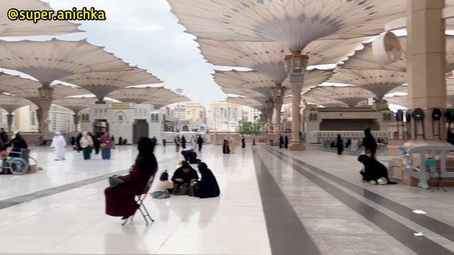 BIKIN BETAH! KEINDAHAN DI LUAR MASJID NABAWI MADINAH|SIANG HARI SETELAH SHOLAT DZUHUR смотреть онлайн