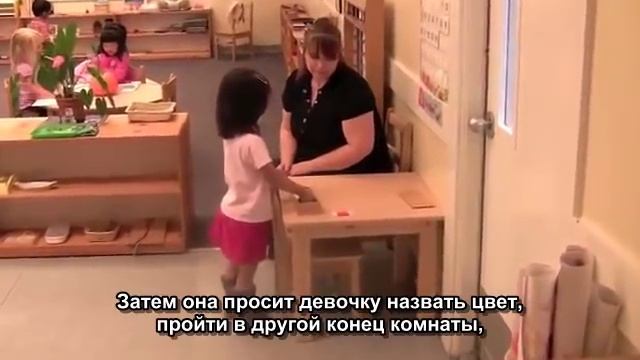 Монтессори-среда: Упражнения с сенсорными материалами в среде Монтессори (2010)