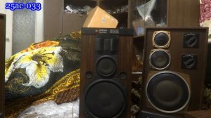 25ас-033 против S-90