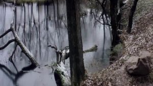 Солярис Жанна Агузарова Звезда