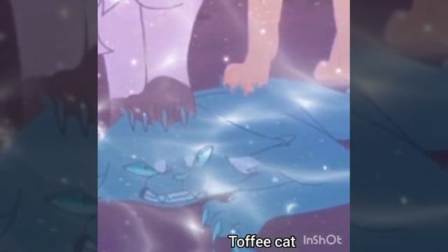 Коты-Воители Гладкоусая и Иглохвостая Darkside | warrior cats Sleekwhisker and NeedleTail Darkside смотреть онлайн