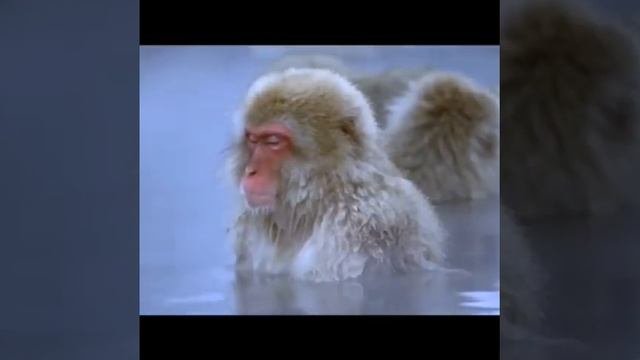 Трезвость это ваше нормальное состояние