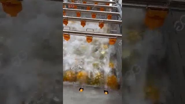 Pineapple Washing Machine Exported To Guatemala