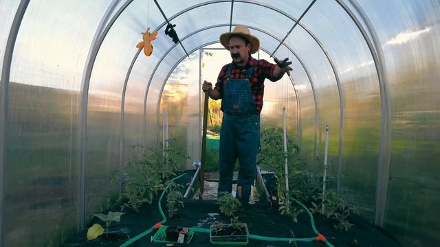 Как мы выращиваем овощи #Излиствыипалок смотреть онлайн