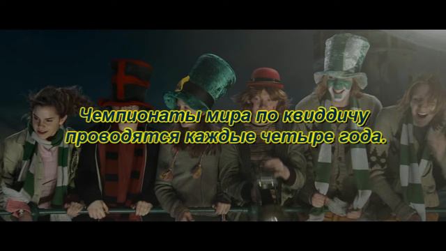 Всё о Квиддиче.