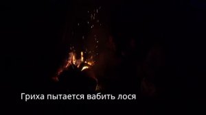 ЭКСПЕДИЦИЯ НА КАРАКАТЕ ПО НЕПРОЛАЗНОЙ ТАЙГЕ НАЧАЛАСЬ!