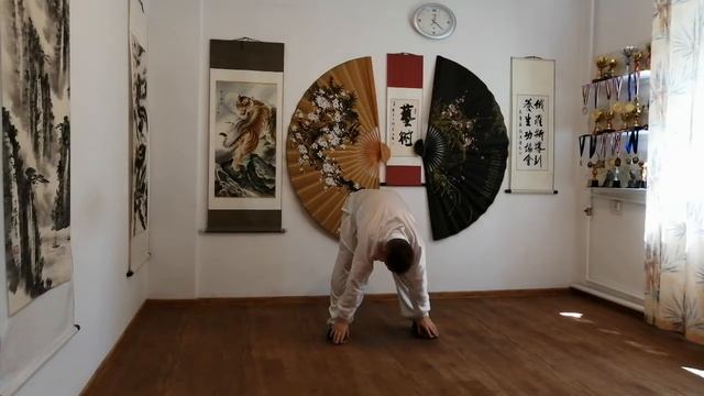 Цигун Даоинь Яншен Гун комплекс: Тайцзи Цигун