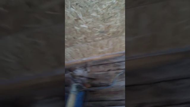Kак правильно выбрать плиты OSB для подшивки потолков