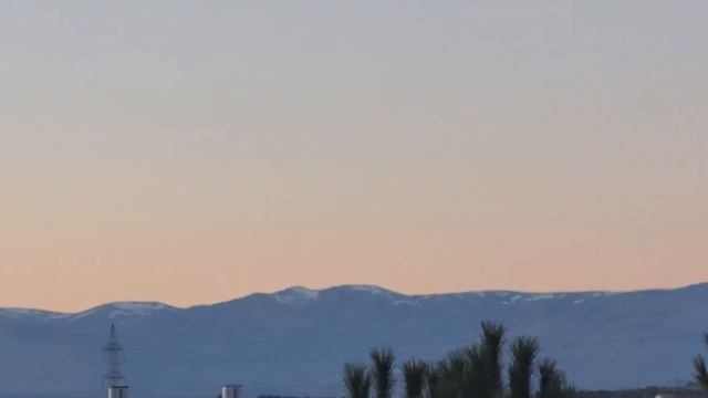 Только вынесли ёлку, а уже цветёт миндаль. смотреть онлайн