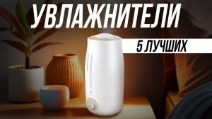 Обзор лучших бюджетных увлажнителей воздуха в 2024 году // Какой выбрать?