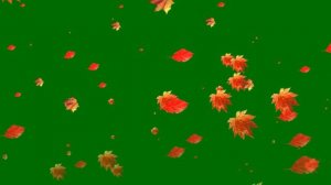 Осенние листья | осень | листопад | leaves |  хромакей | зеленый фон | green screen | ФутаЖОР