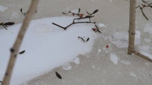 Зимняя рыбалка г. Хабаровск 2017