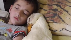 КАК НАСТРОИТЬ СБИВШИЙСЯ РЕЖИМ СНА, ДЛЯ ТЕХ КТО ЛОЖИТСЯ СПАТЬ В 6 УТРА