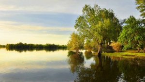 природа родного края Волгоградская обл.