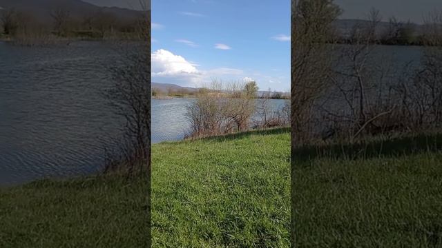 Красота момента, пение птиц, отдых, лодка, озеро, собака