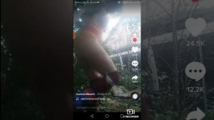 самые странные аккаунты в тик токе?