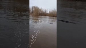 Лодка Гладиатор 370 и мотор Ямаха 9.9