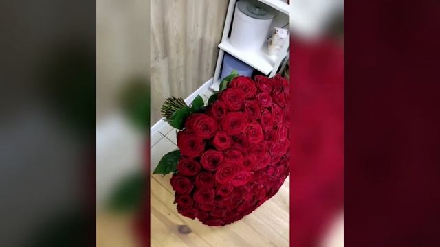 101 роза. Bouquet of 101 red roses. #розы #цветы #flowers #bouquetofroses смотреть онлайн
