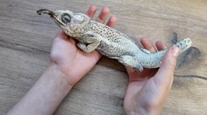 МОЙ ХАМЕЛЕОН УМЕР? ЕМУ БЫЛО 2 ГОДА