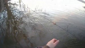 рыбалка на сети весной.mp4