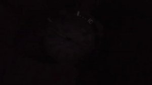 Наручные кварцевые часы Q&Q