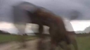 Художник,
исполняет Эсвит