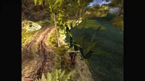 Готика 2   Глава 1. Юный Маг огня