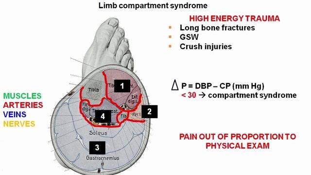 USMLE RX - 8.Анатомия - 1.Анат,физо - 5.Общие Заболевания