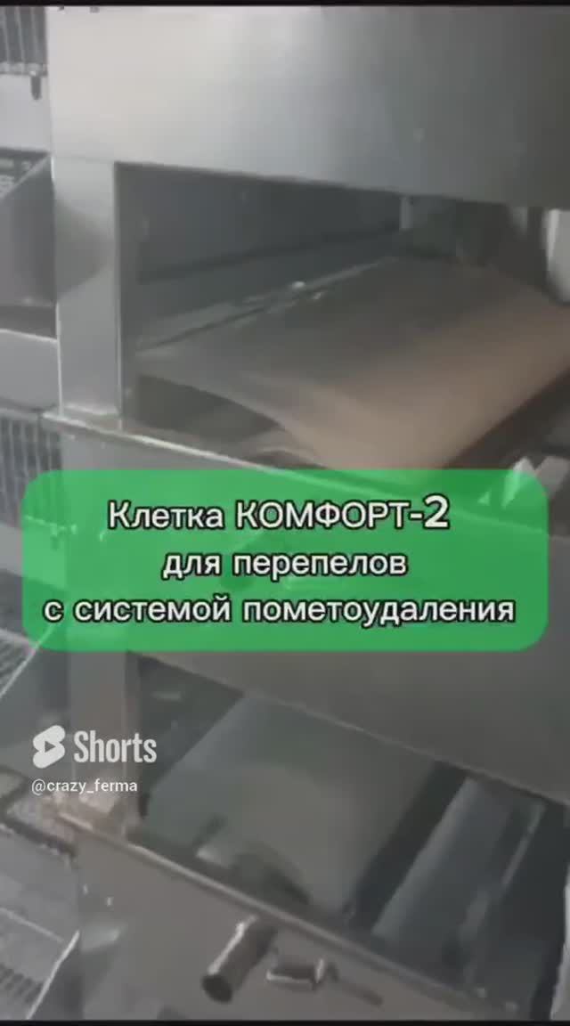 Клетка для промышленного разведения перепелов Комфорт2 #ферма #перепела #клеткадляперепелов #shorts