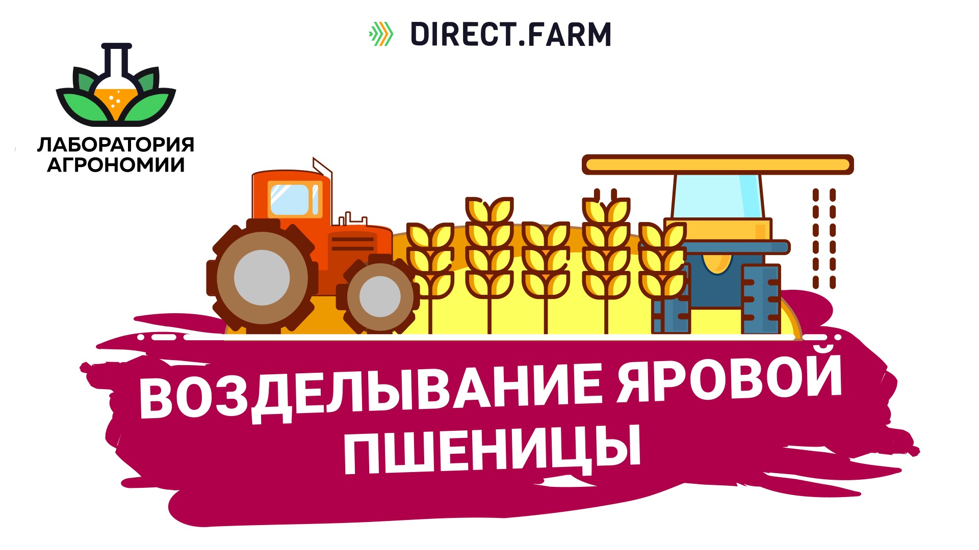Яровая пшеница - технология возделывания / Директ Фарм