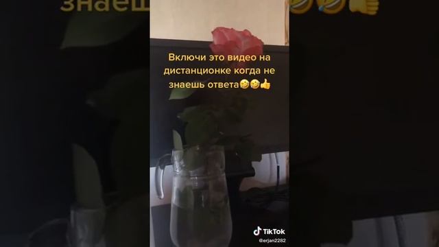 Включи этот звук если не знаешь ответа