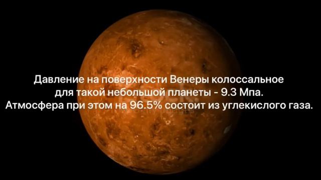Венера