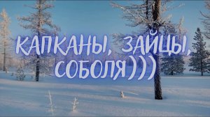 ОХОТА НА СОБОЛЯ. Серия № 10. Проверяю путики #на соболя